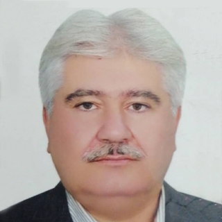 محمد حسن پور مطلق